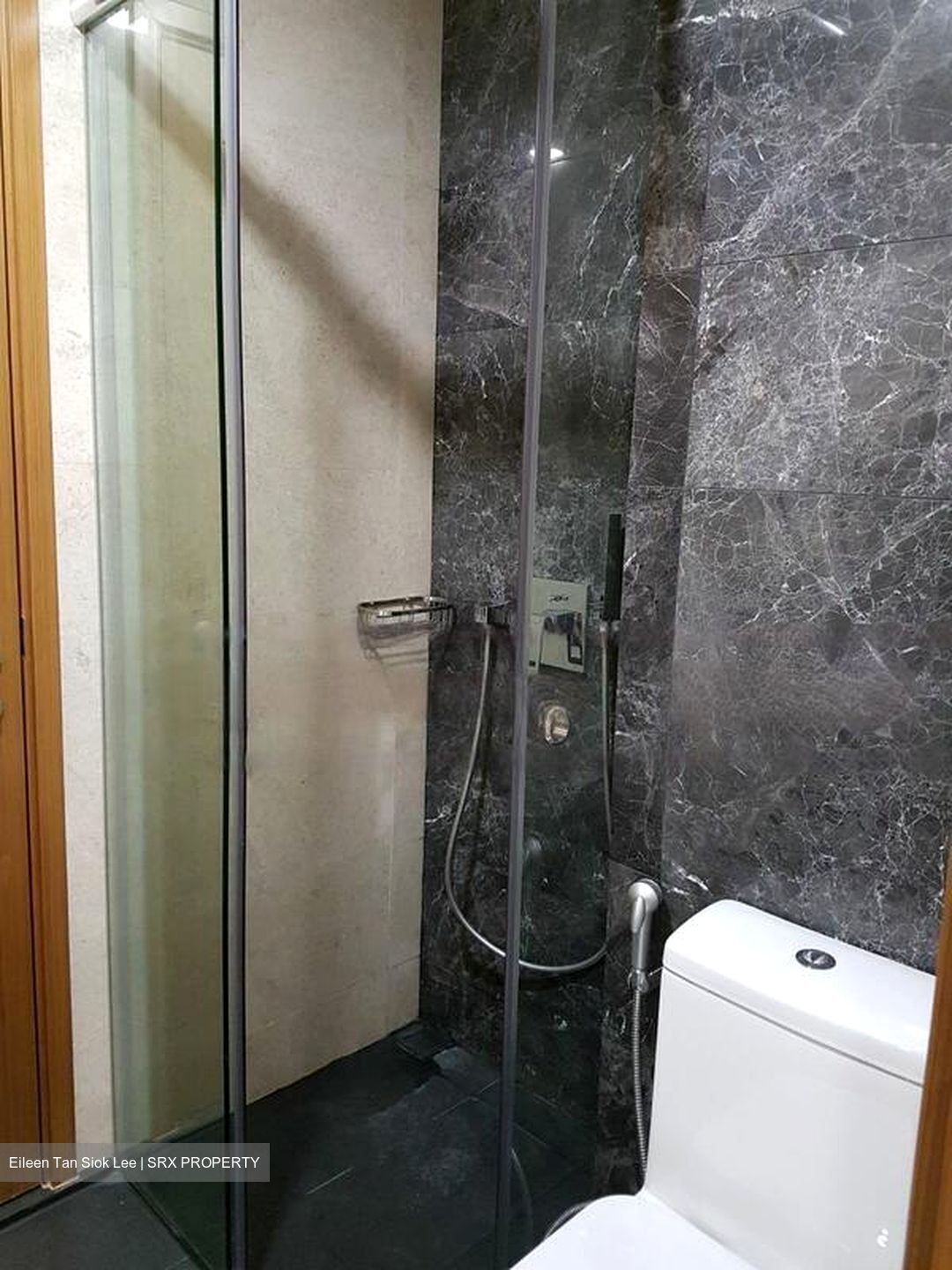 Spottiswoode Suites (D2), Apartment #472691801